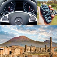 ALLA SCOPERTA DEL VESUVIO & POMPEI + DEGUSTAZIONE